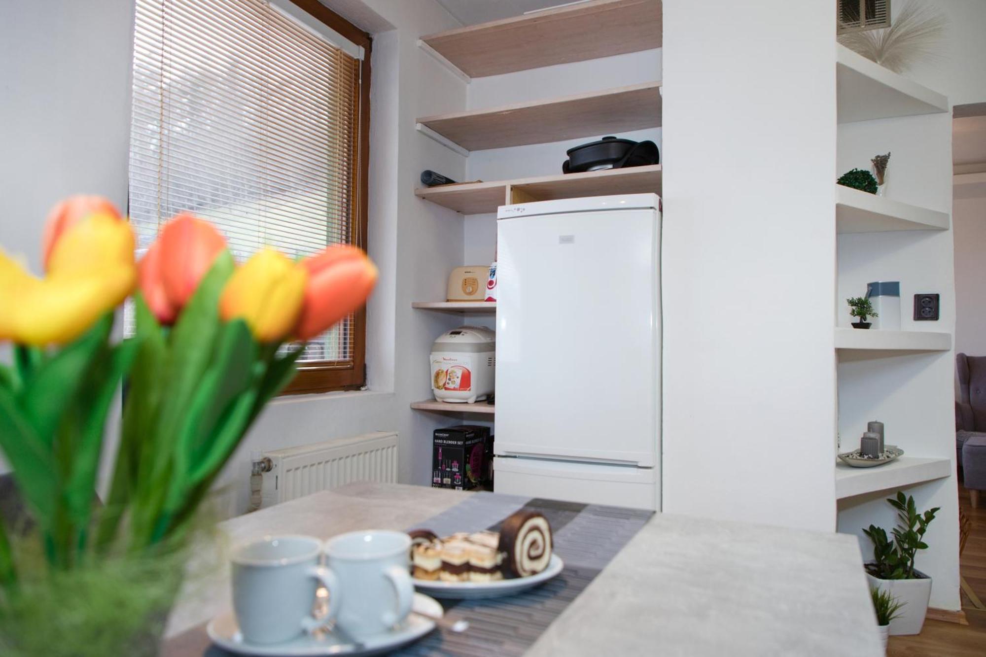Apartman Ivka 布雷兹诺 外观 照片